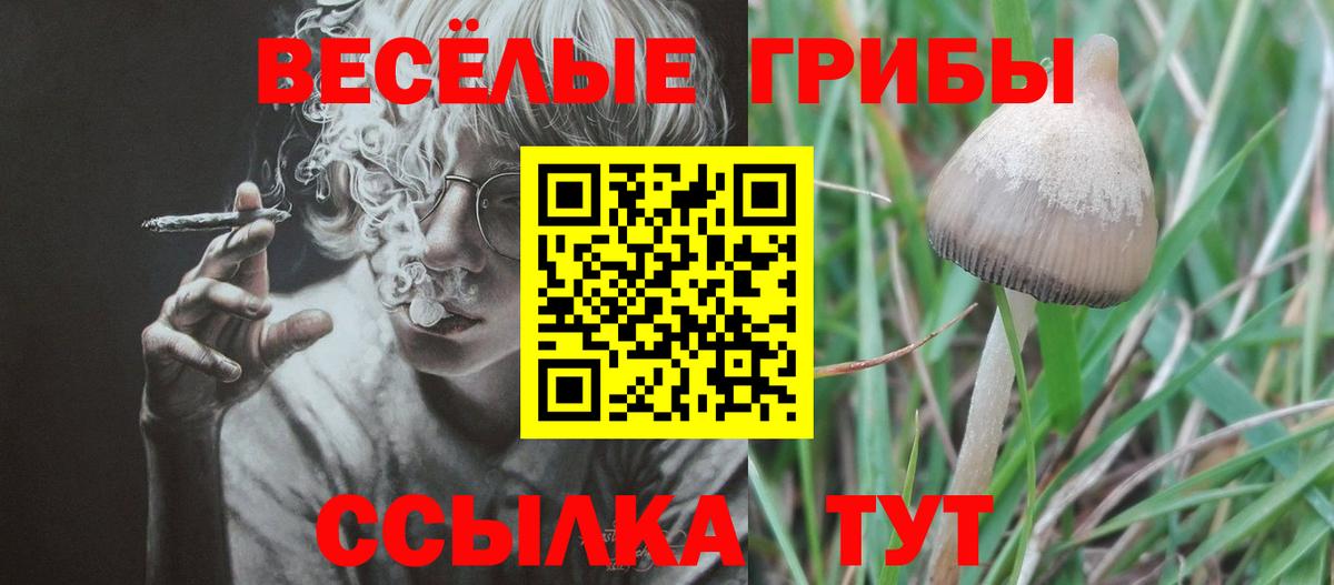 Псилоцибиновые грибы Psilocybine cubensis  Вход с VPN  Галлюциногенные грибы MAGIC MUSHROOMS  Рославль 